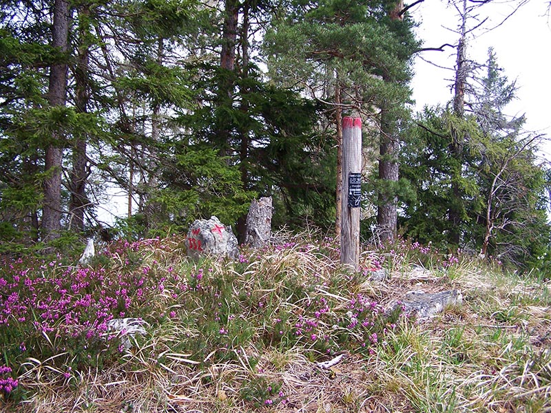 Salcherkogel